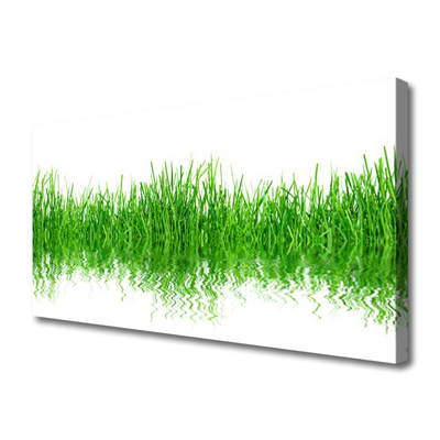 Photo sur toile Herbe nature vert