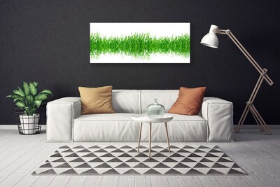 Photo sur toile Herbe nature vert