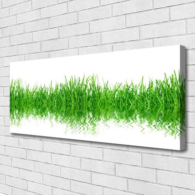 Photo sur toile Herbe nature vert