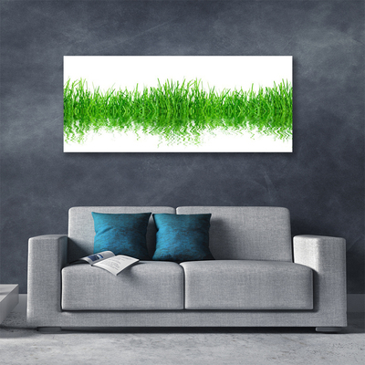 Photo sur toile Herbe nature vert