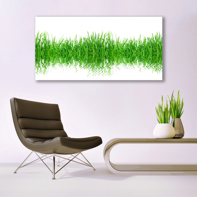 Photo sur toile Herbe nature vert