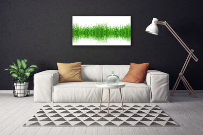 Photo sur toile Herbe nature vert