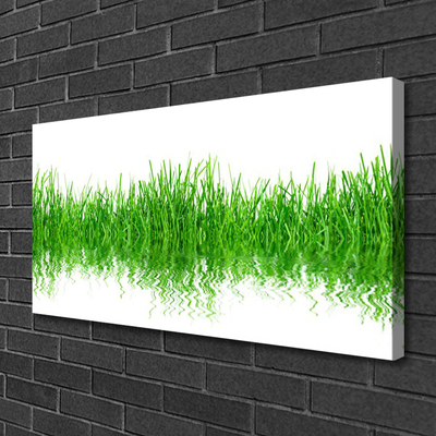 Photo sur toile Herbe nature vert