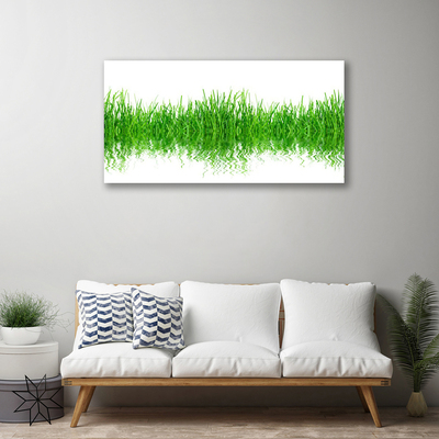 Photo sur toile Herbe nature vert