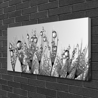 Photo sur toile Abstrait floral gris