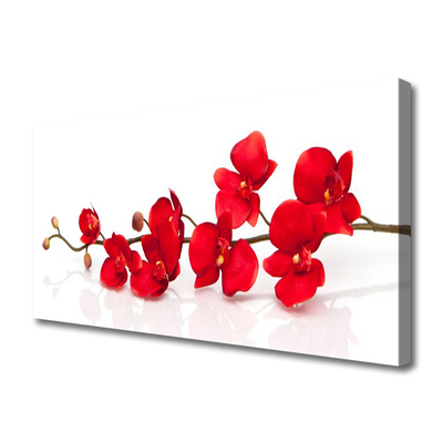 Photo sur toile Fleurs floral rouge