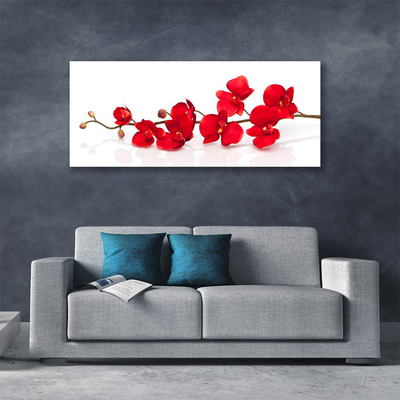 Photo sur toile Fleurs floral rouge