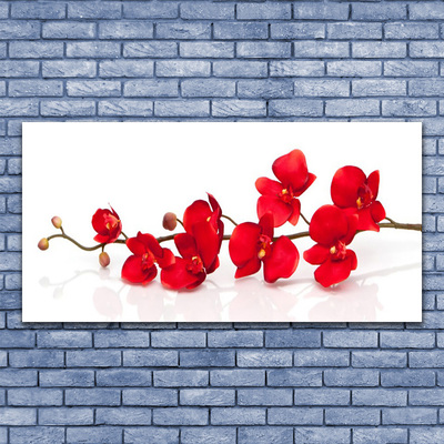 Photo sur toile Fleurs floral rouge