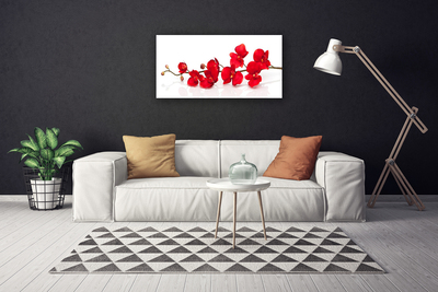 Photo sur toile Fleurs floral rouge