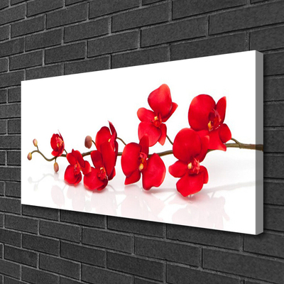 Photo sur toile Fleurs floral rouge