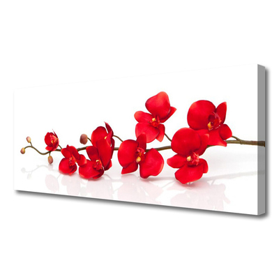 Photo sur toile Fleurs floral rouge