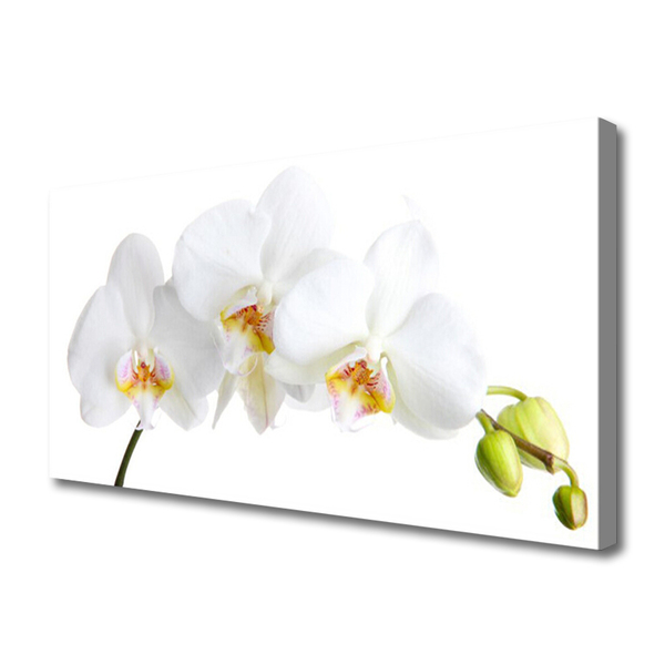 Photo sur toile Fleurs floral blanc