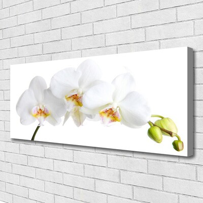 Photo sur toile Fleurs floral blanc