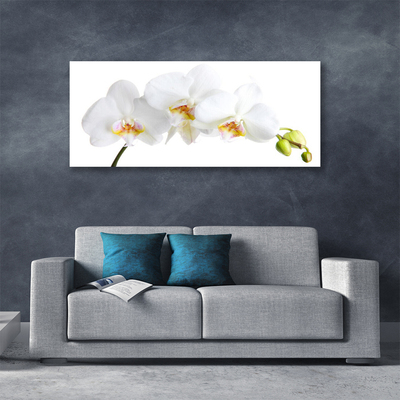 Photo sur toile Fleurs floral blanc