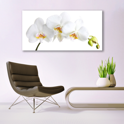 Photo sur toile Fleurs floral blanc