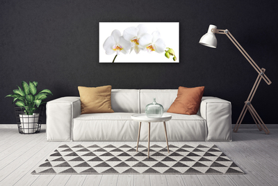 Photo sur toile Fleurs floral blanc