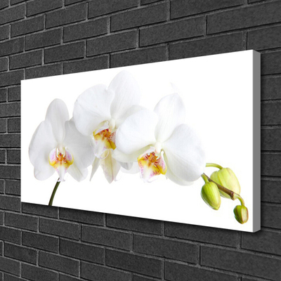 Photo sur toile Fleurs floral blanc