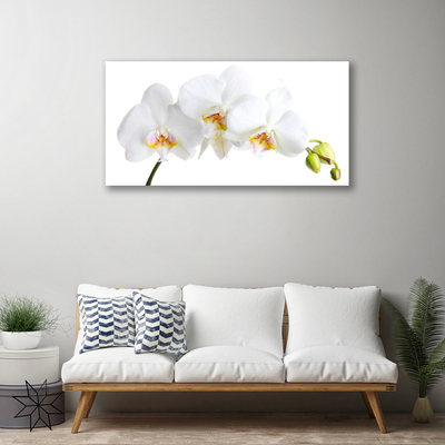 Photo sur toile Fleurs floral blanc