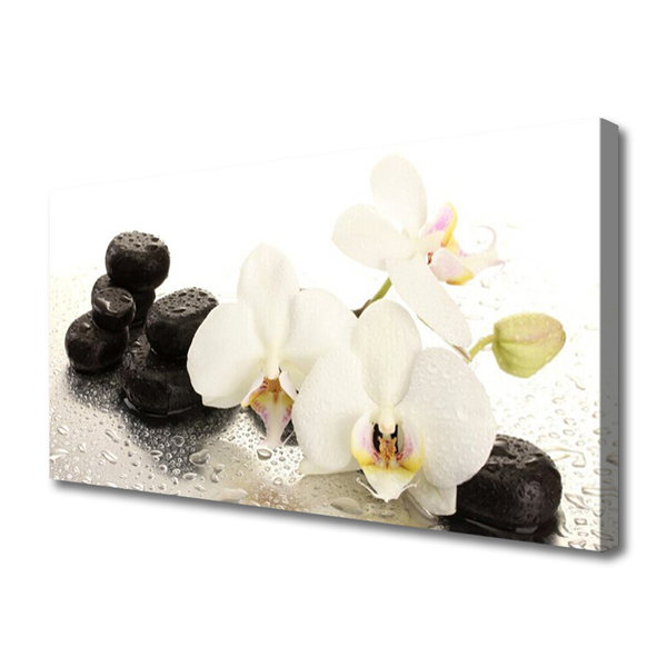 Photo sur toile Pierres fleurs floral blanc noir