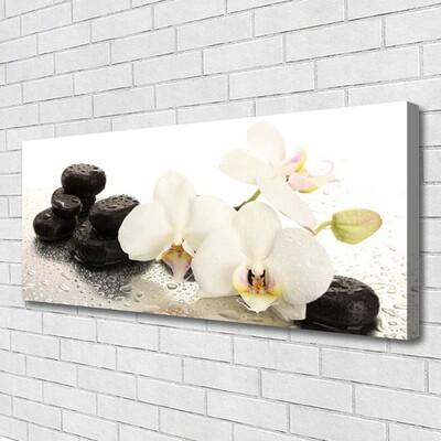 Photo sur toile Pierres fleurs floral blanc noir