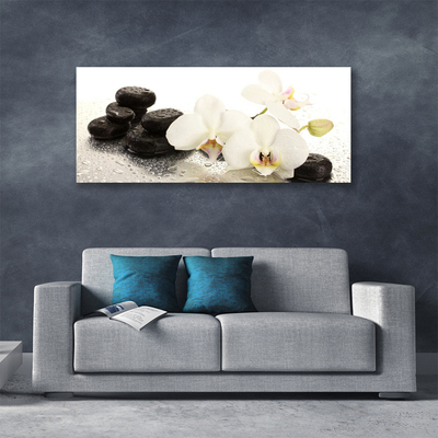 Photo sur toile Pierres fleurs floral blanc noir