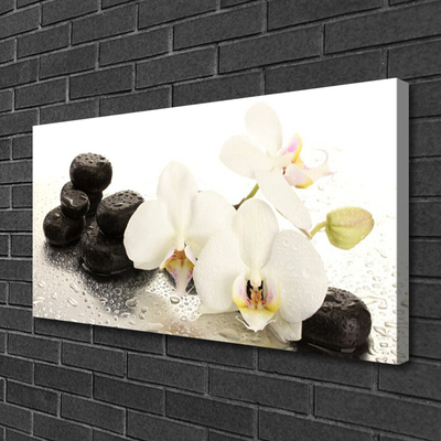 Photo sur toile Pierres fleurs floral blanc noir