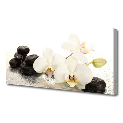 Photo sur toile Pierres fleurs floral blanc noir