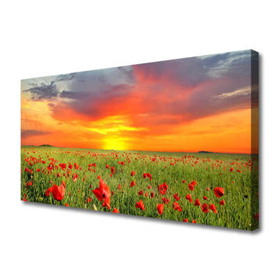 Photo sur toile Coquelicots soleil nature rouge vert jaune gris