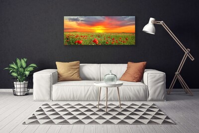 Photo sur toile Coquelicots soleil nature rouge vert jaune gris