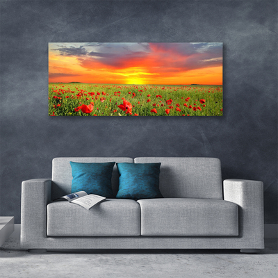 Photo sur toile Coquelicots soleil nature rouge vert jaune gris