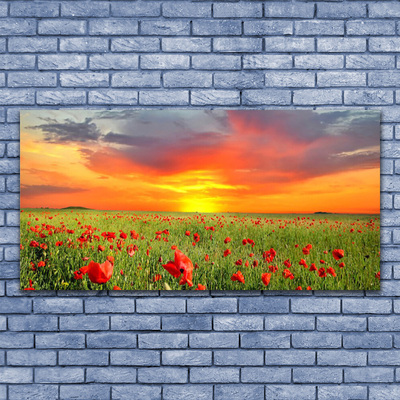 Photo sur toile Coquelicots soleil nature rouge vert jaune gris