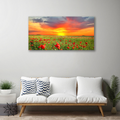 Photo sur toile Coquelicots soleil nature rouge vert jaune gris