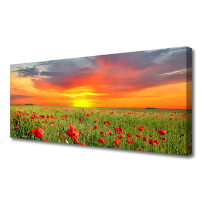 Photo sur toile Coquelicots soleil nature rouge vert jaune gris