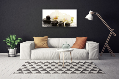 Photo sur toile Fleurs pierres art blanc noir