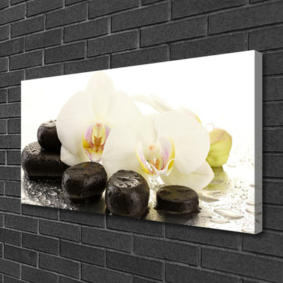 Photo sur toile Fleurs pierres art blanc noir