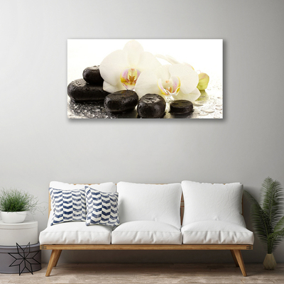 Photo sur toile Fleurs pierres art blanc noir