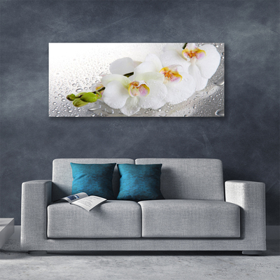 Photo sur toile Fleurs floral blanc