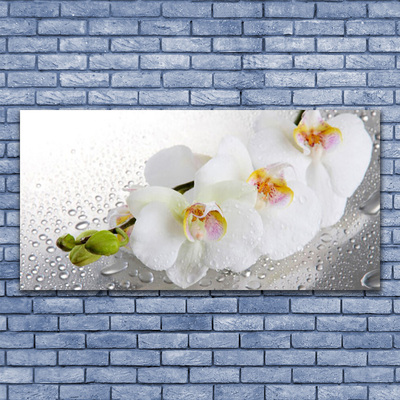 Photo sur toile Fleurs floral blanc