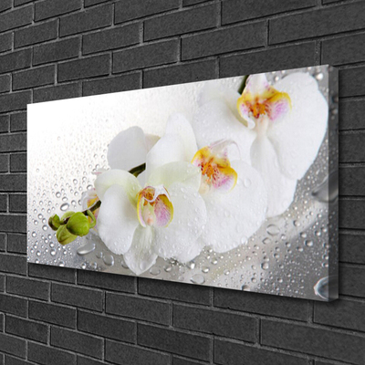 Photo sur toile Fleurs floral blanc