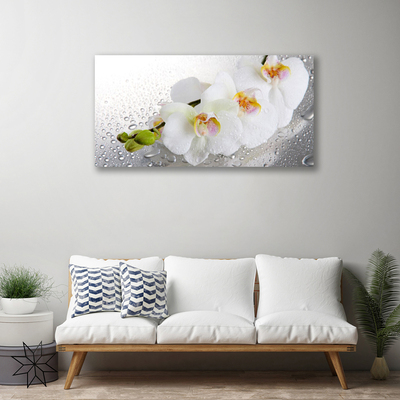 Photo sur toile Fleurs floral blanc