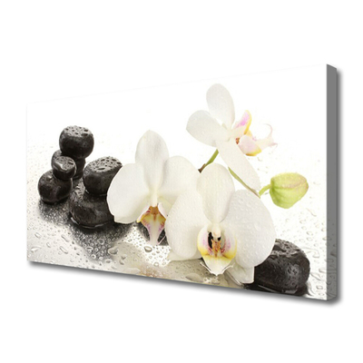 Photo sur toile Fleurs pierres floral blanc noir