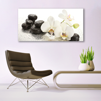 Photo sur toile Fleurs pierres floral blanc noir