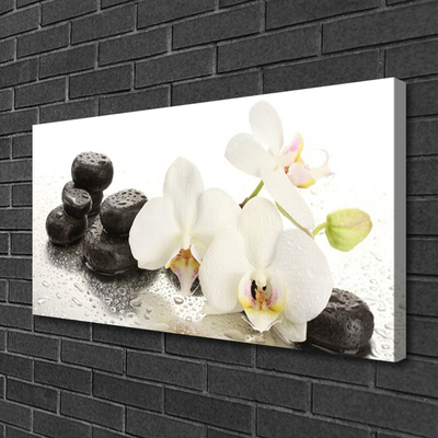 Photo sur toile Fleurs pierres floral blanc noir