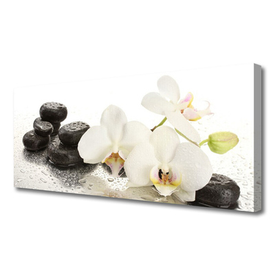 Photo sur toile Fleurs pierres floral blanc noir