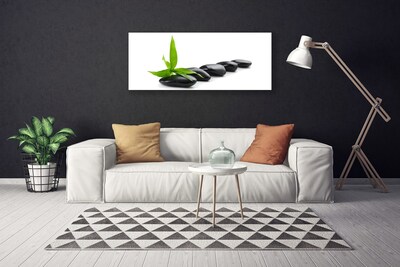 Photo sur toile Feuilles pierres art noir vert