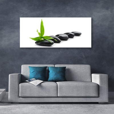 Photo sur toile Feuilles pierres art noir vert