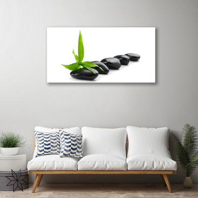 Photo sur toile Feuilles pierres art noir vert