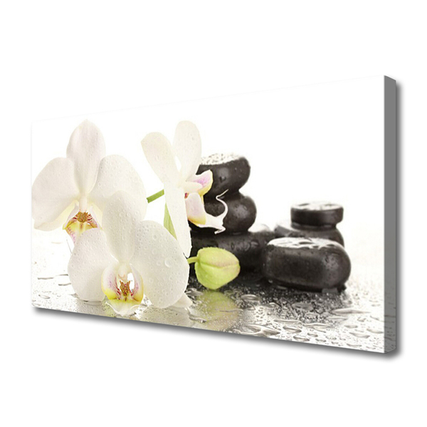 Photo sur toile Pierres fleurs floral blanc noir