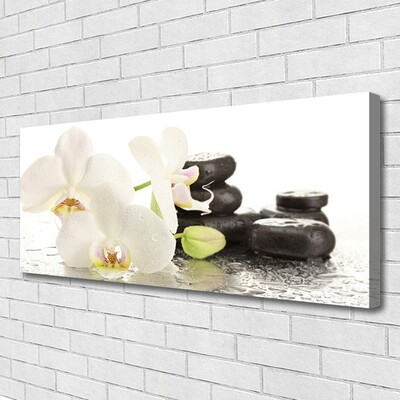 Photo sur toile Pierres fleurs floral blanc noir