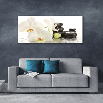 Photo sur toile Pierres fleurs floral blanc noir